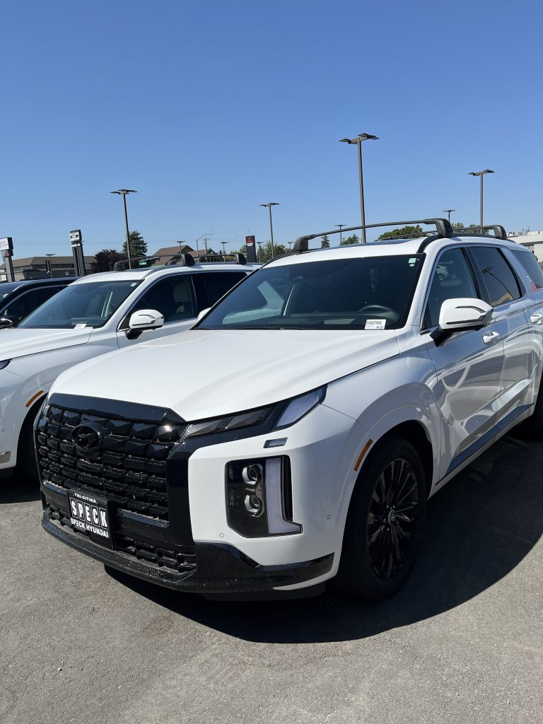 Image of a Hyundai Palisade. The best Hyundai Palisade road trip SUV