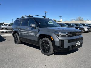 Exterior image of a Hyundai Santa Fe