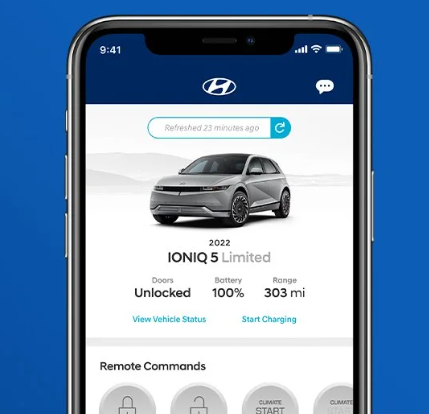 Bluelink app