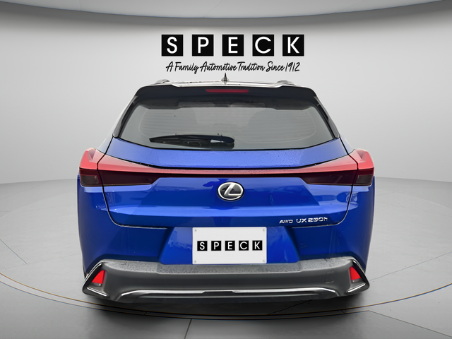 2024 Lexus UX 250h F SPORT Design