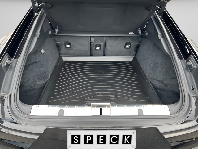 2023 Porsche Panamera 4 Platinum Edition