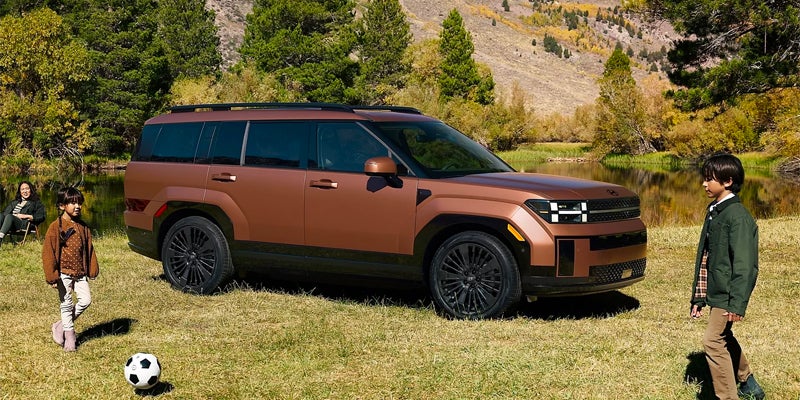 Santa Fe Hybrid in a grassy field by a lake. Two children play soccer in the foreground, with an adult sitting in the background