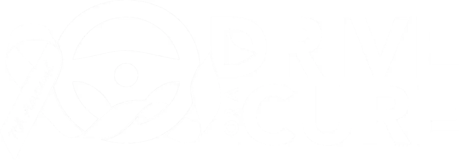 7th Annual Drive For A Cure