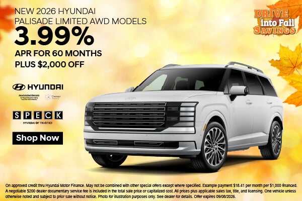 Hyundai Palisade APR Special